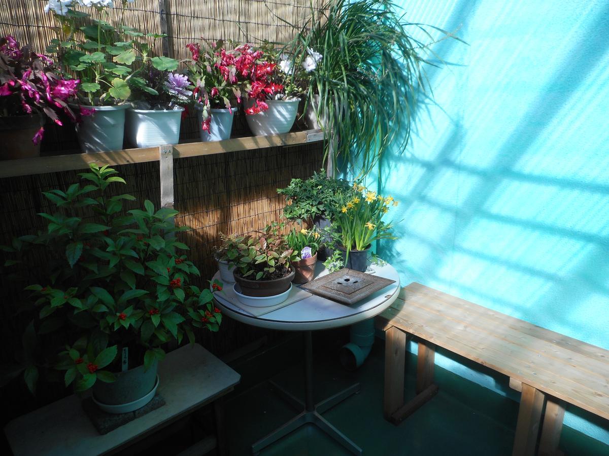 Jgh Tokyo Hostel Kawaguchi  Ngoại thất bức ảnh